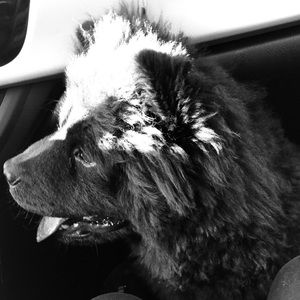 Meet your Posher, Deborah